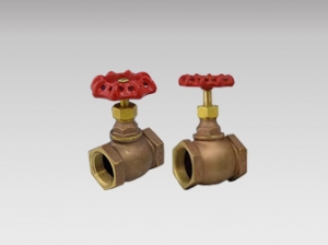 Globe Valve