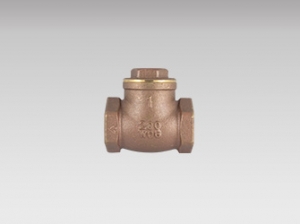 Swing Check Valve