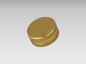 Adapter – Hose Cap